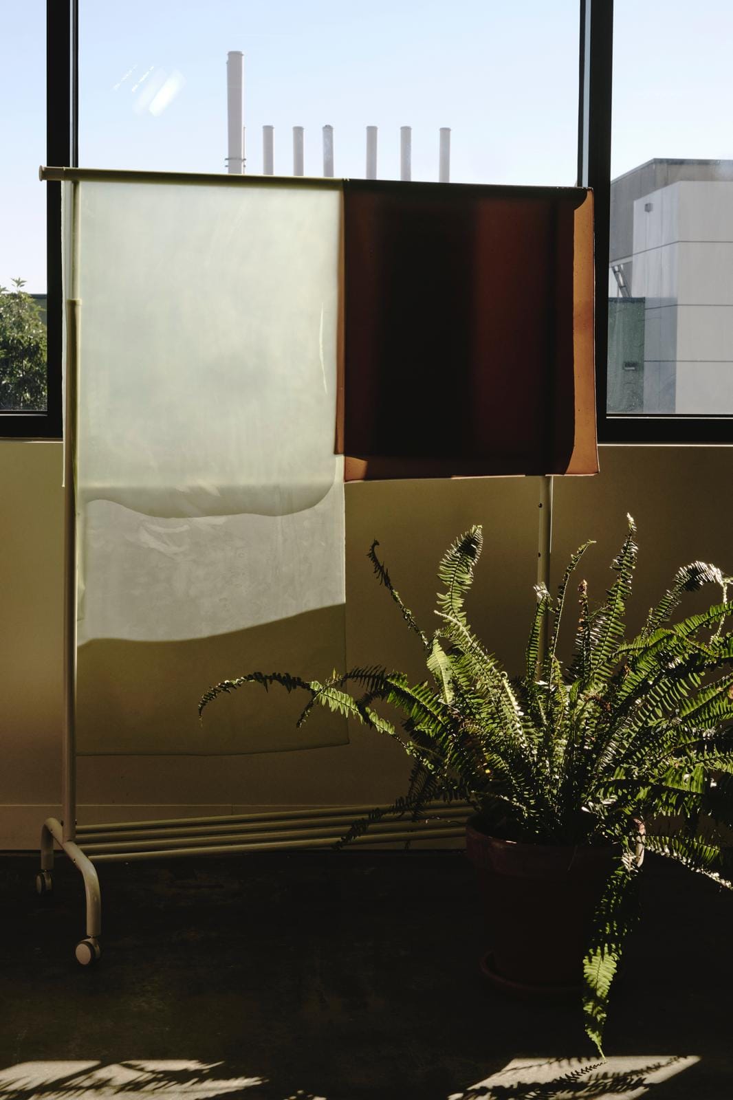 Translucent algae colored sheets hanging in studio.