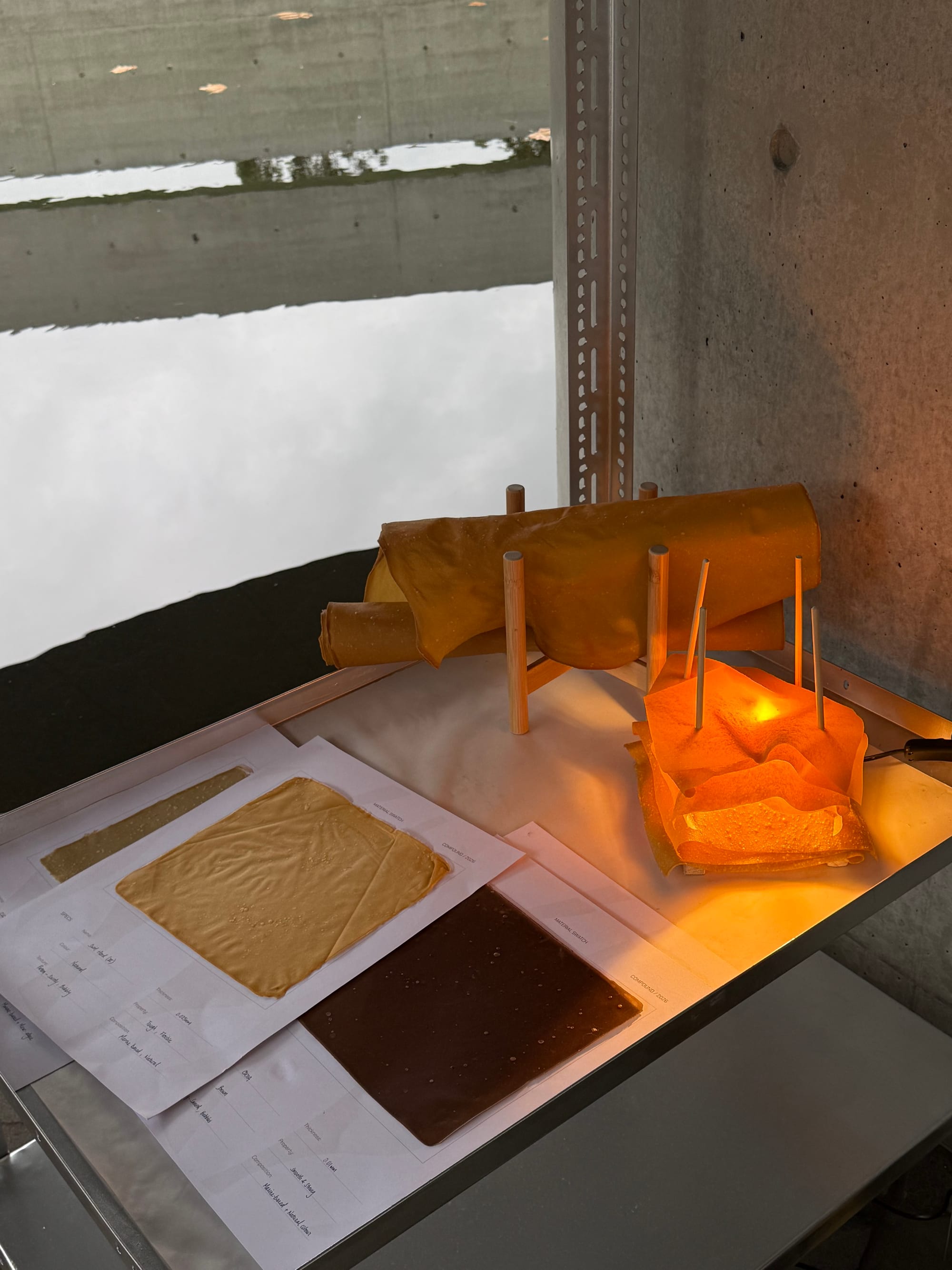 Algae lamp and sheets, object experimentation.