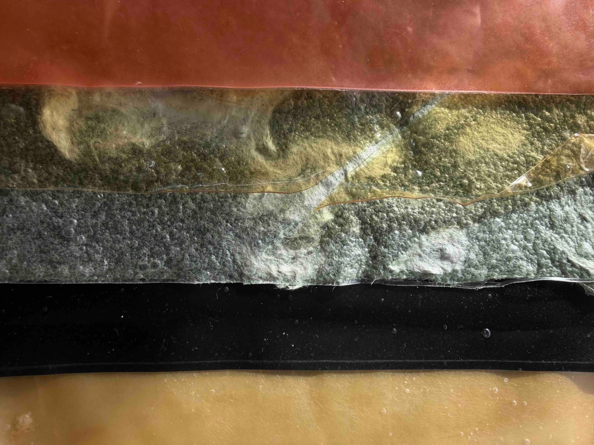 Algae material sheets in different hues and translucent options.