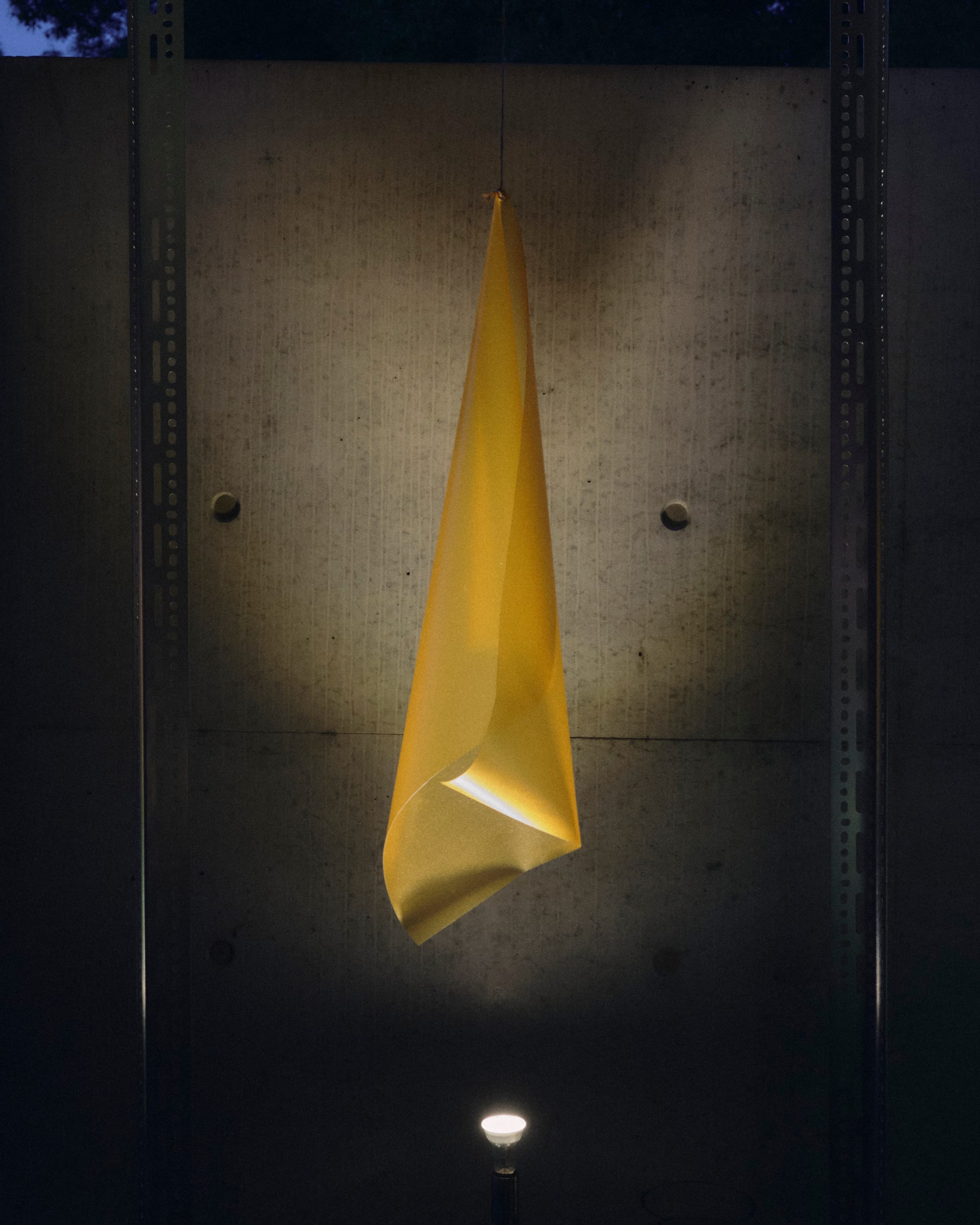 Naturally coloured, translucent, yellow algae sheet hanging. Illuminated by light.