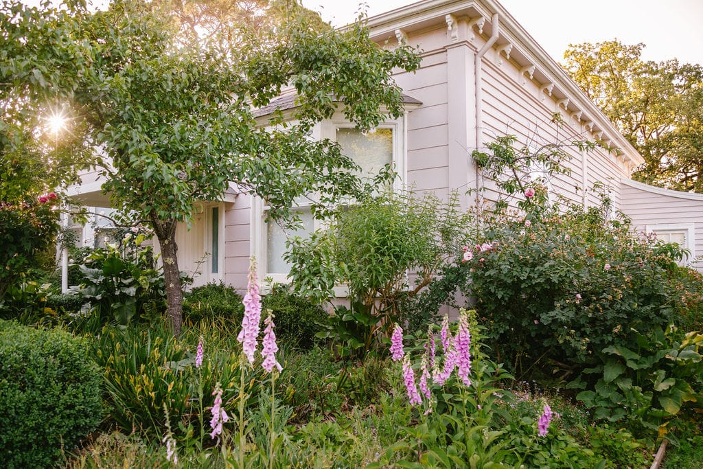 Heide Cottage. Photography by Clytie Meredith. Cottage French style farmhouse and lush green garden, with beautiful light.