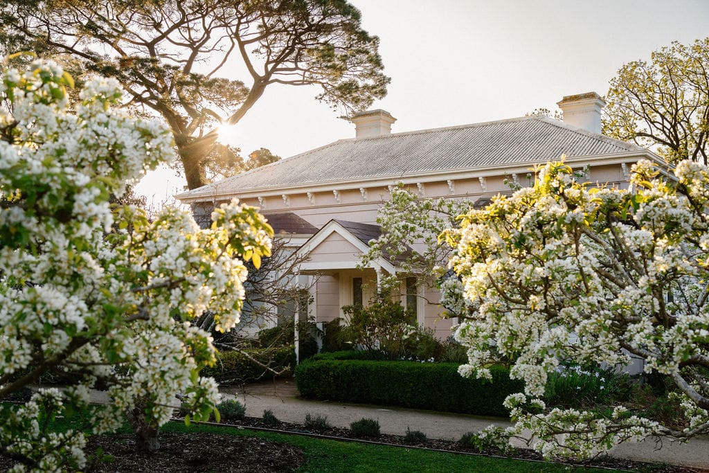 Heide Cottage. Photography by Clytie Meredith. Cottage French style farmhouse with cherry blossoming and beautiful light.