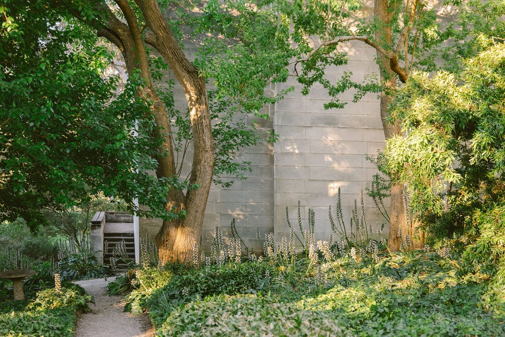 Heide Modern. Photography by Clytie Meredith. Lush green garden an modernist Australian architecture.