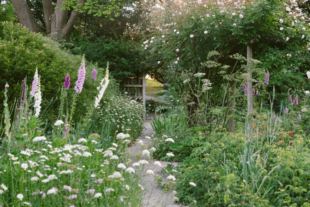 Heide Cottage Garden. Photography by Clytie Meredith. Lush green garden and beautiful lilac flowers.