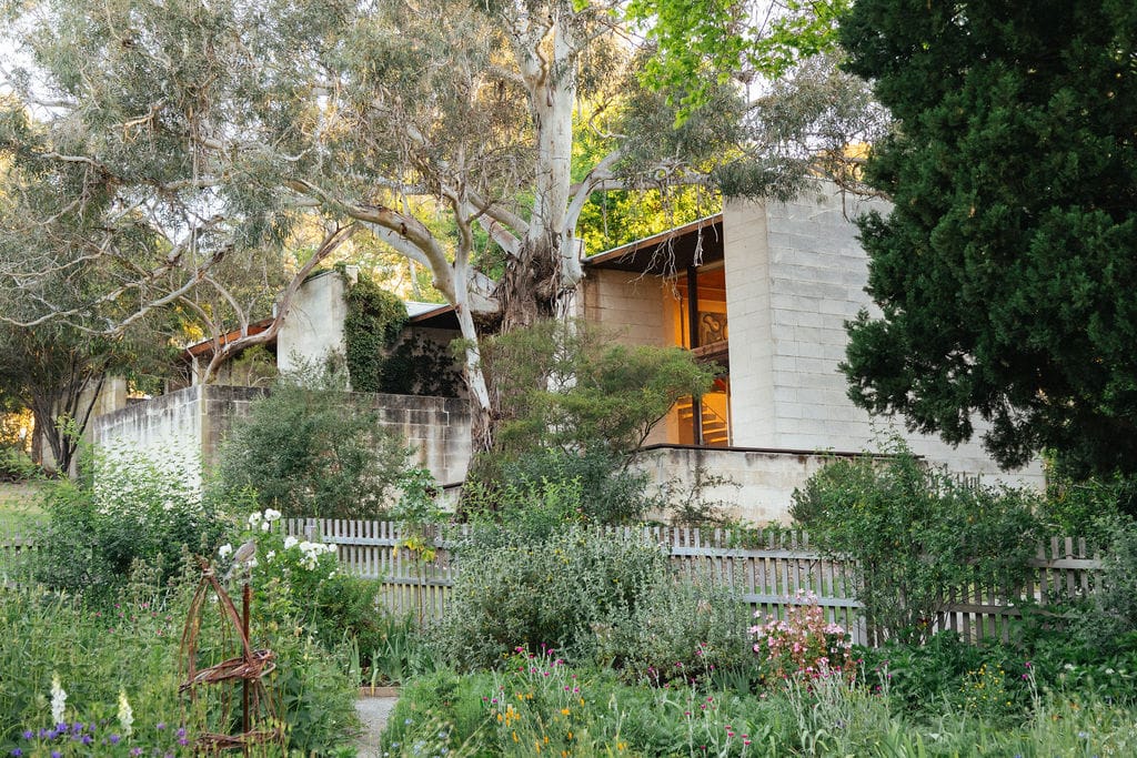 Heide Modern. Photography by Clytie Meredith. Lush green vegetable garden and Australian modernist architecture.