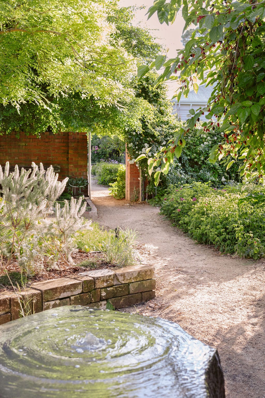 Heide Cottage Garden. Photography by Clytie Meredith. Garden view with stone water pond.