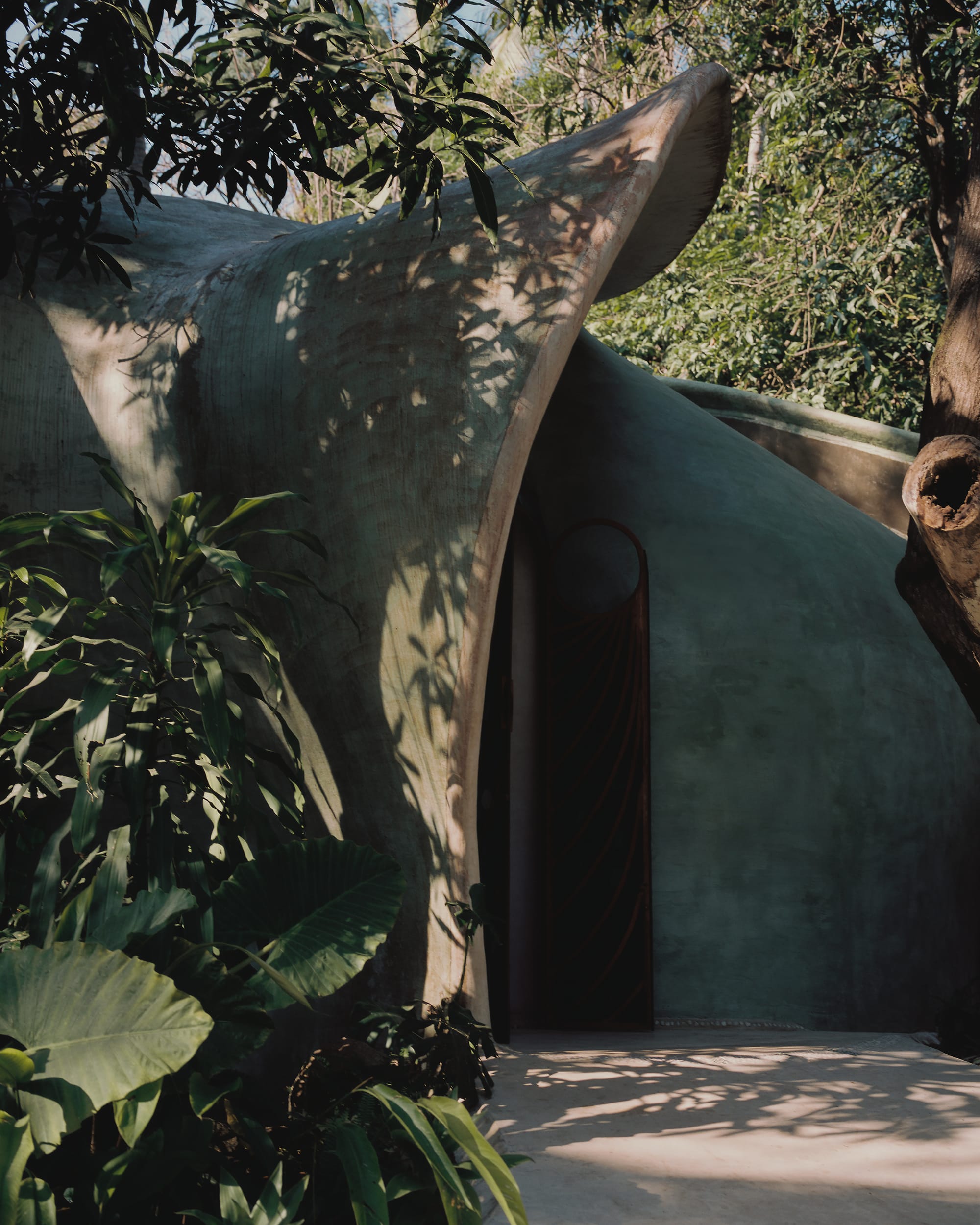 Organic architectural healing center surrounded by lush jungle and greenery.