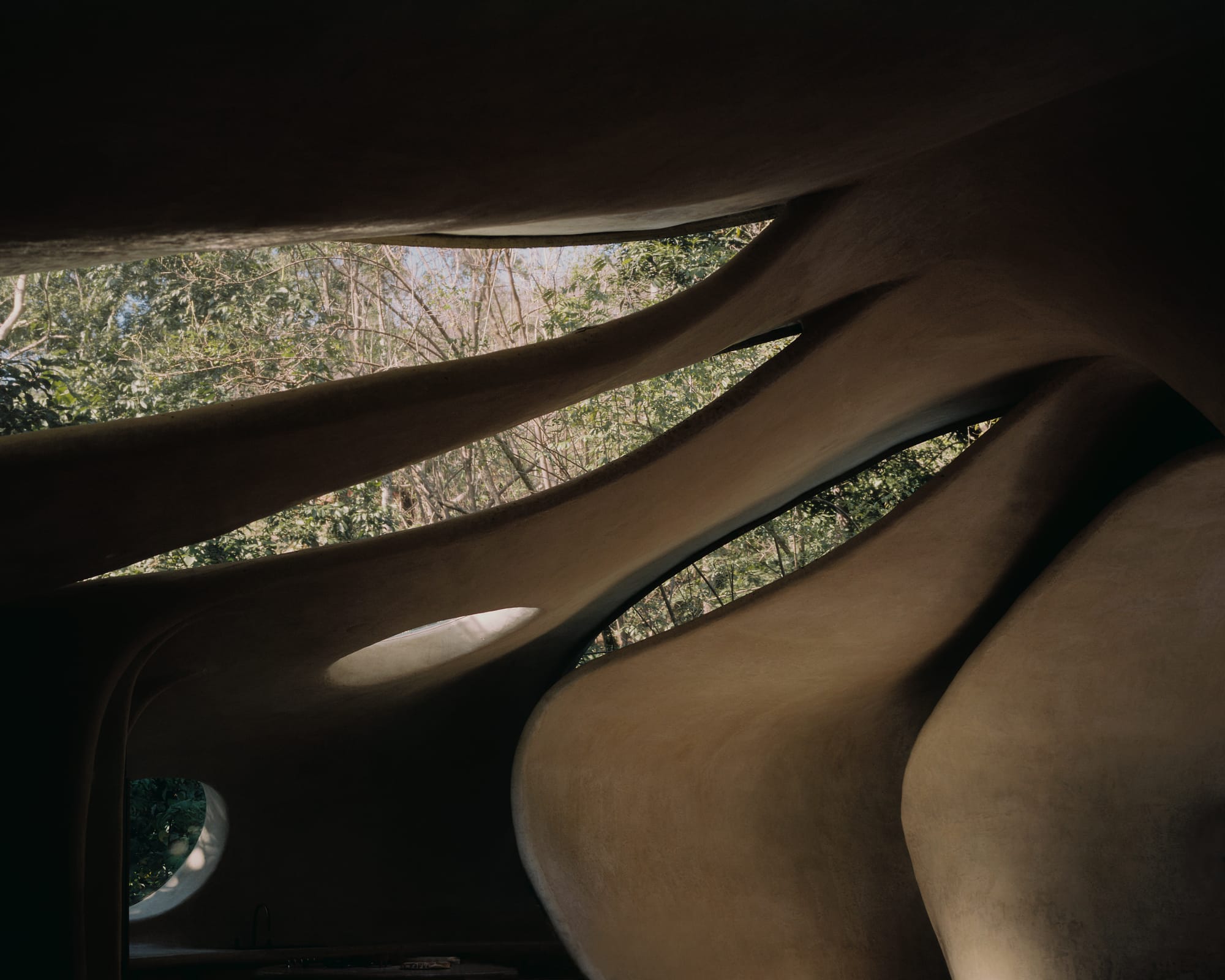 Organically shaped and sliced long windows, framing surrounding lush jungle.