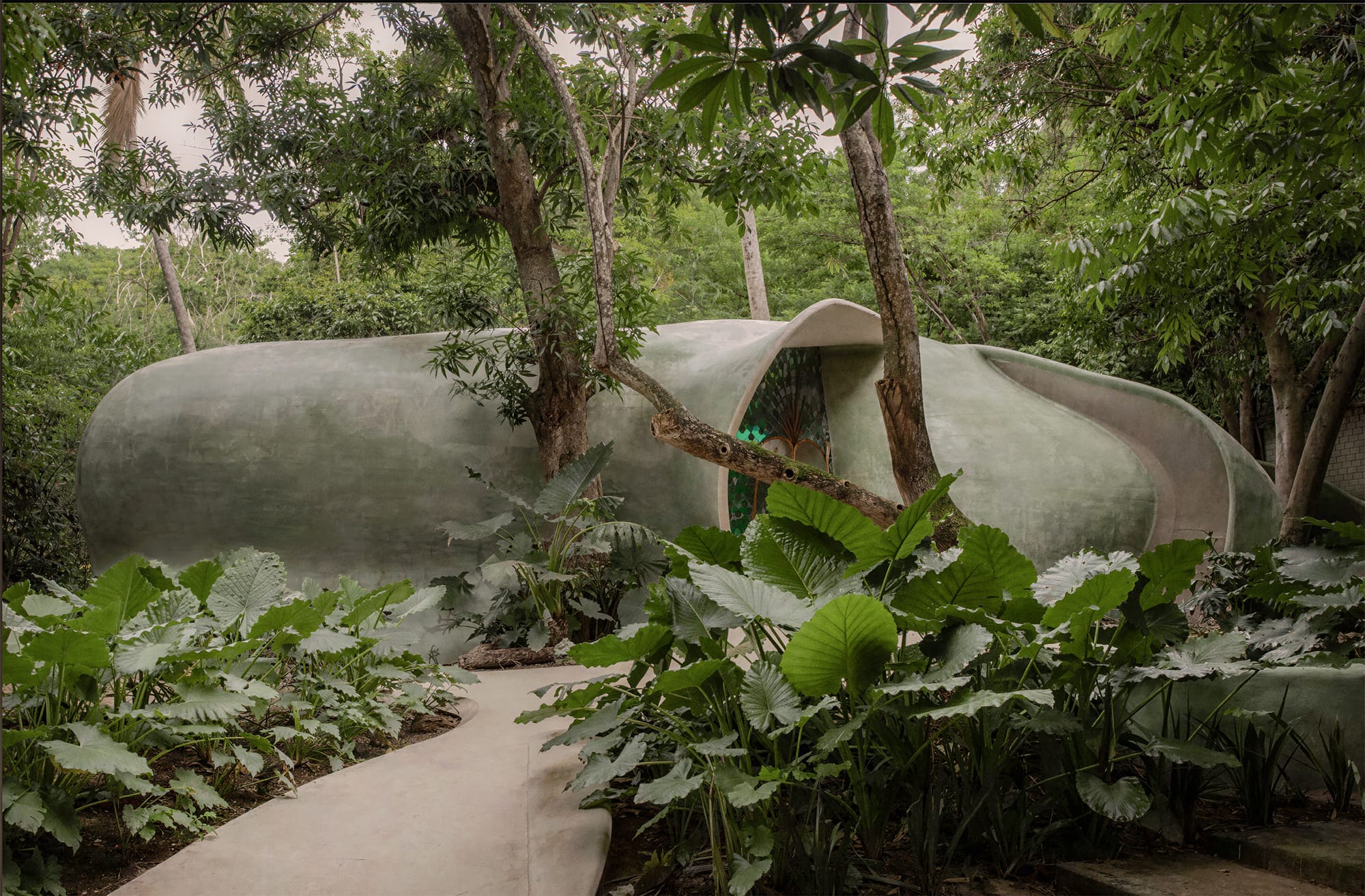 Organic architectural healing center surrounded by lush jungle and greenery.