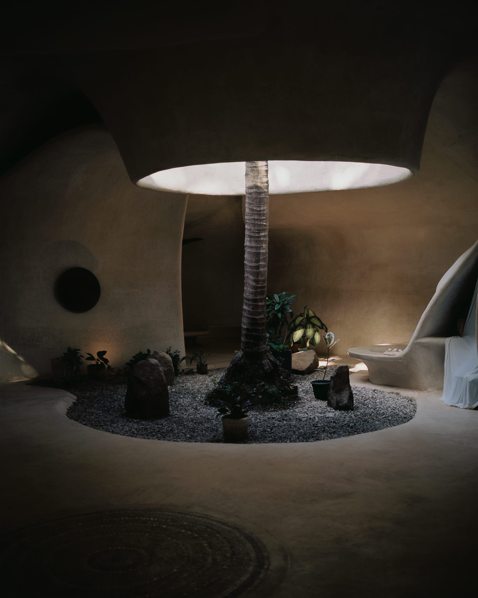 Interior center of holistic healing center with round shaped opening in ceiling and palm tree growing through.