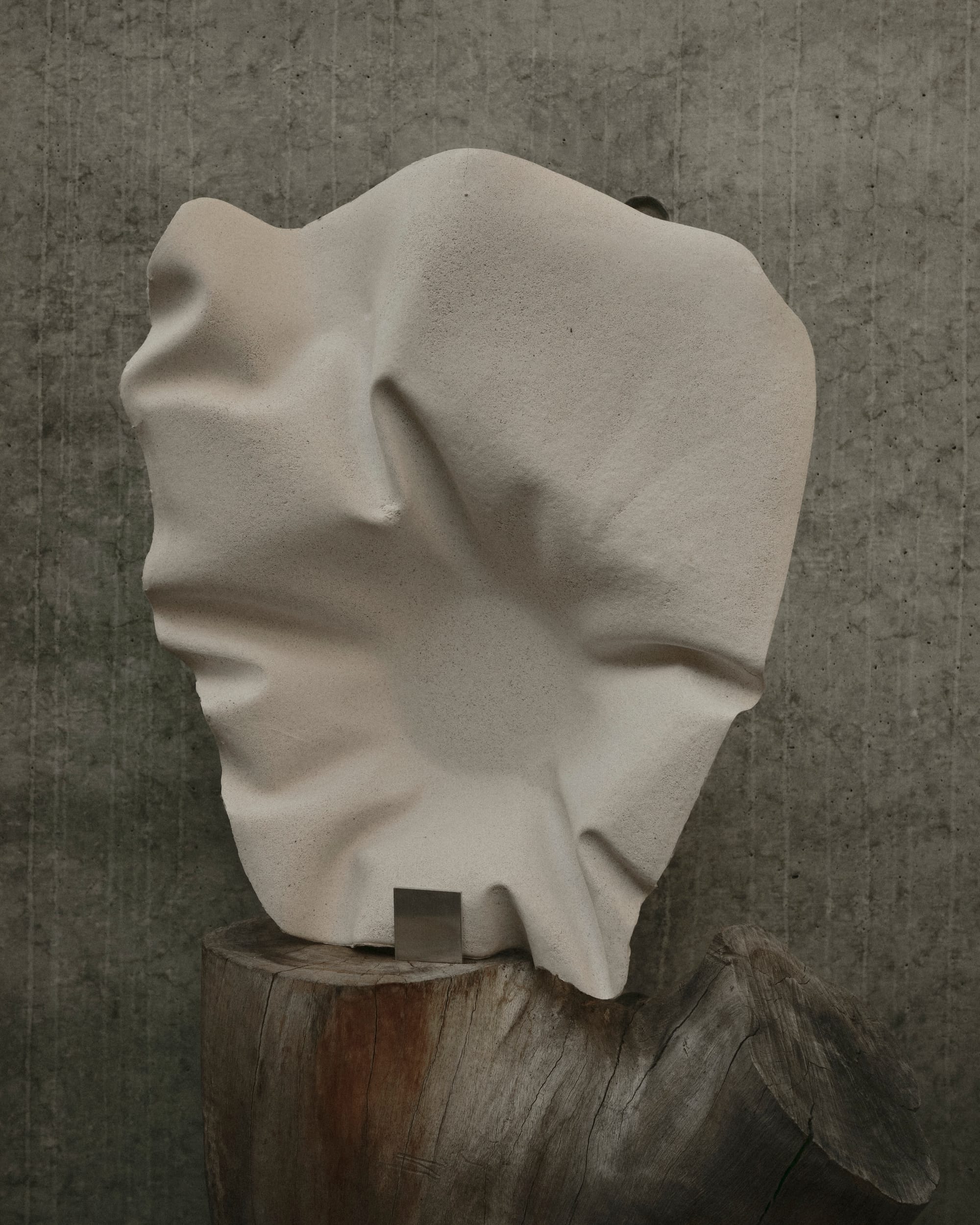 Off white sculpture made from oyster shell material reuse on tree trunk.