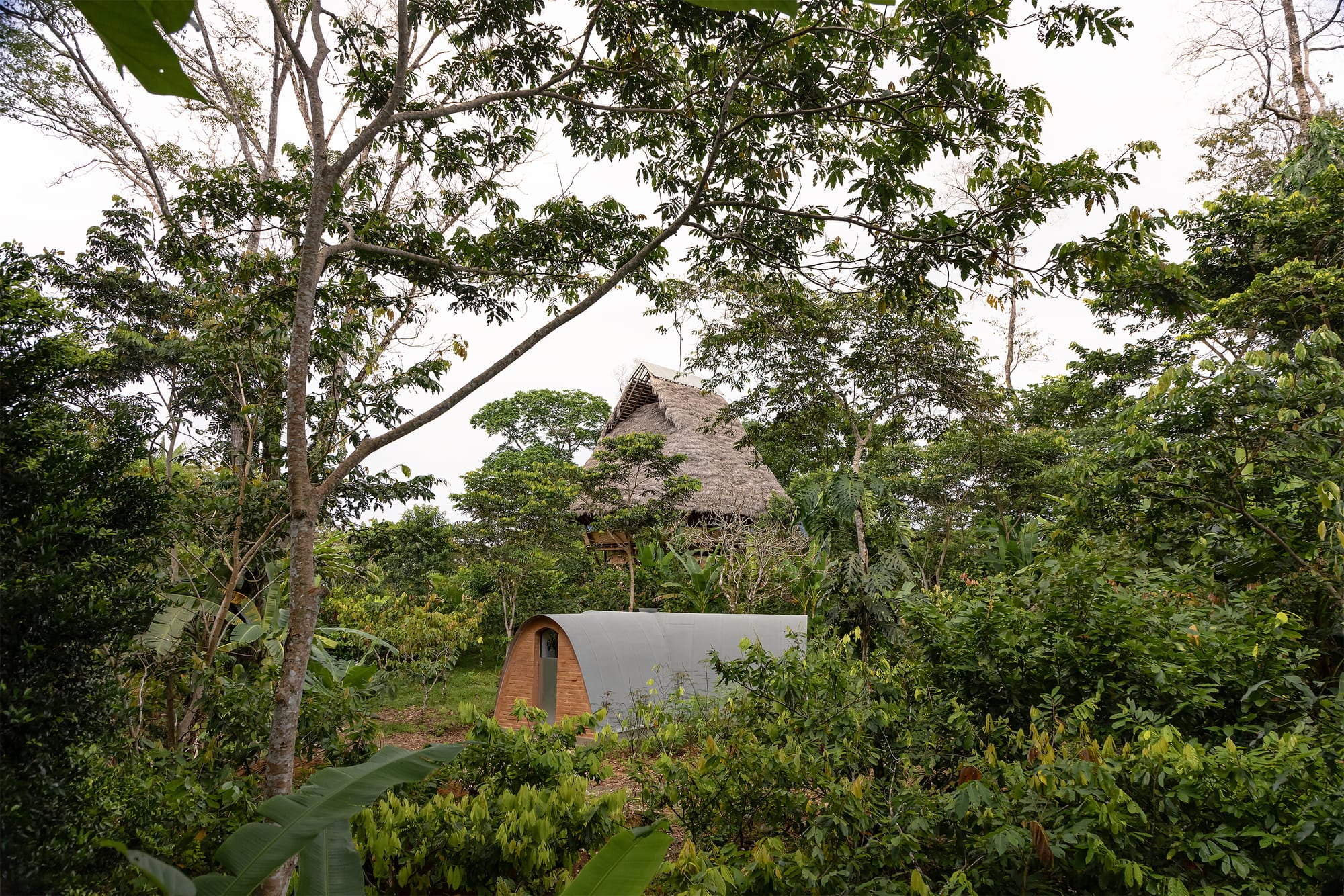 View on brick constructed laboratory surrounded by lush jungle.