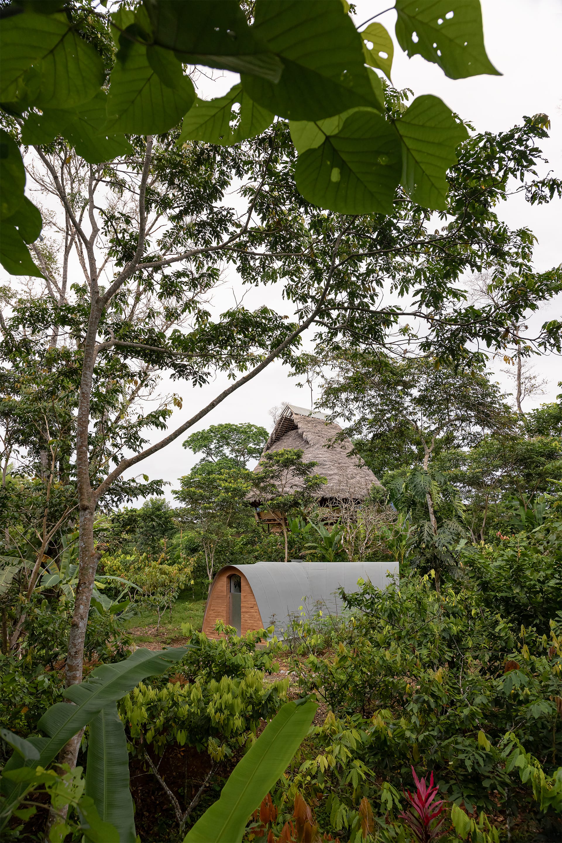 View on brick constructed laboratory surrounded by lush jungle.