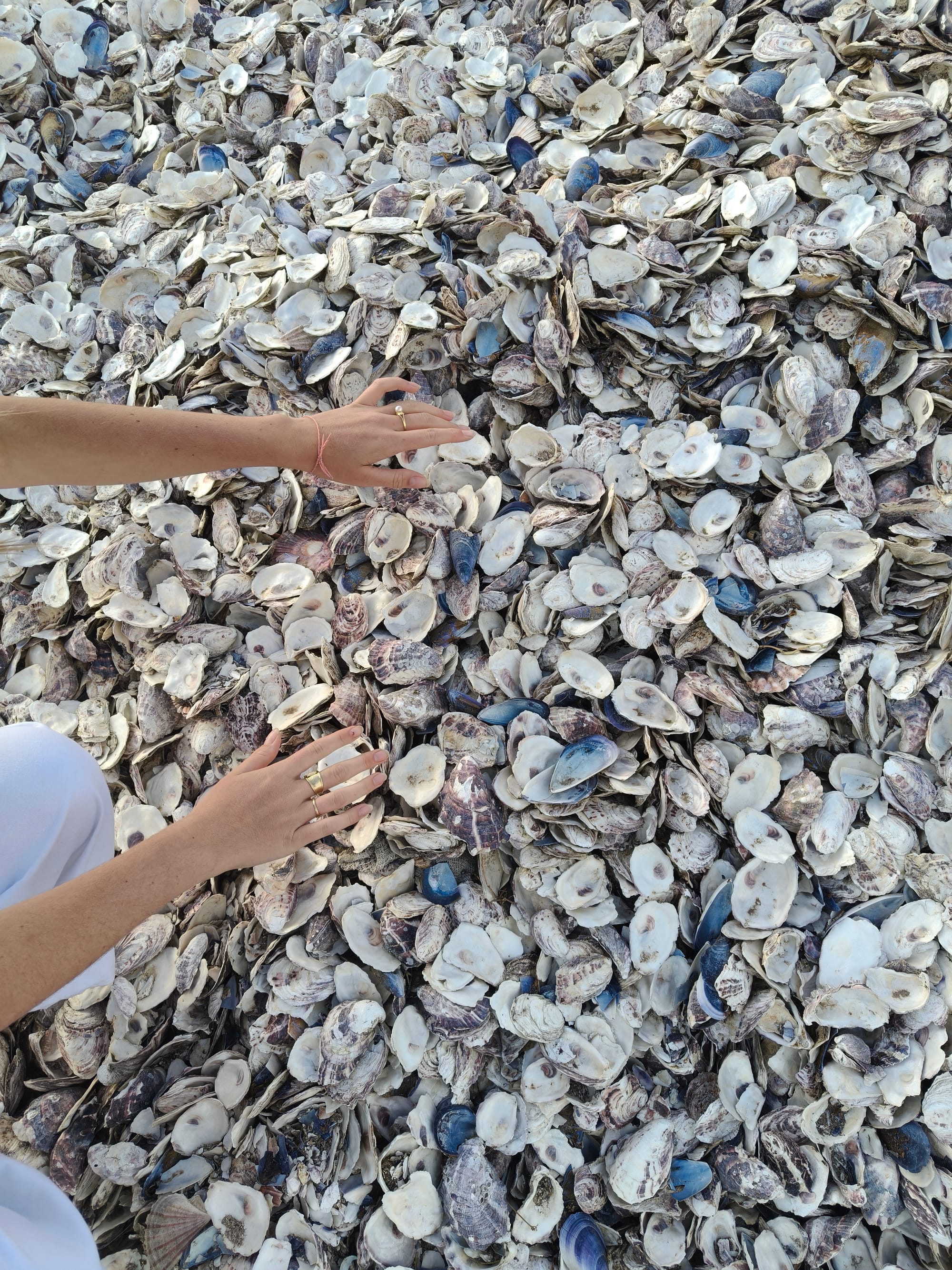 Woman touching mountains of sea shell waste.