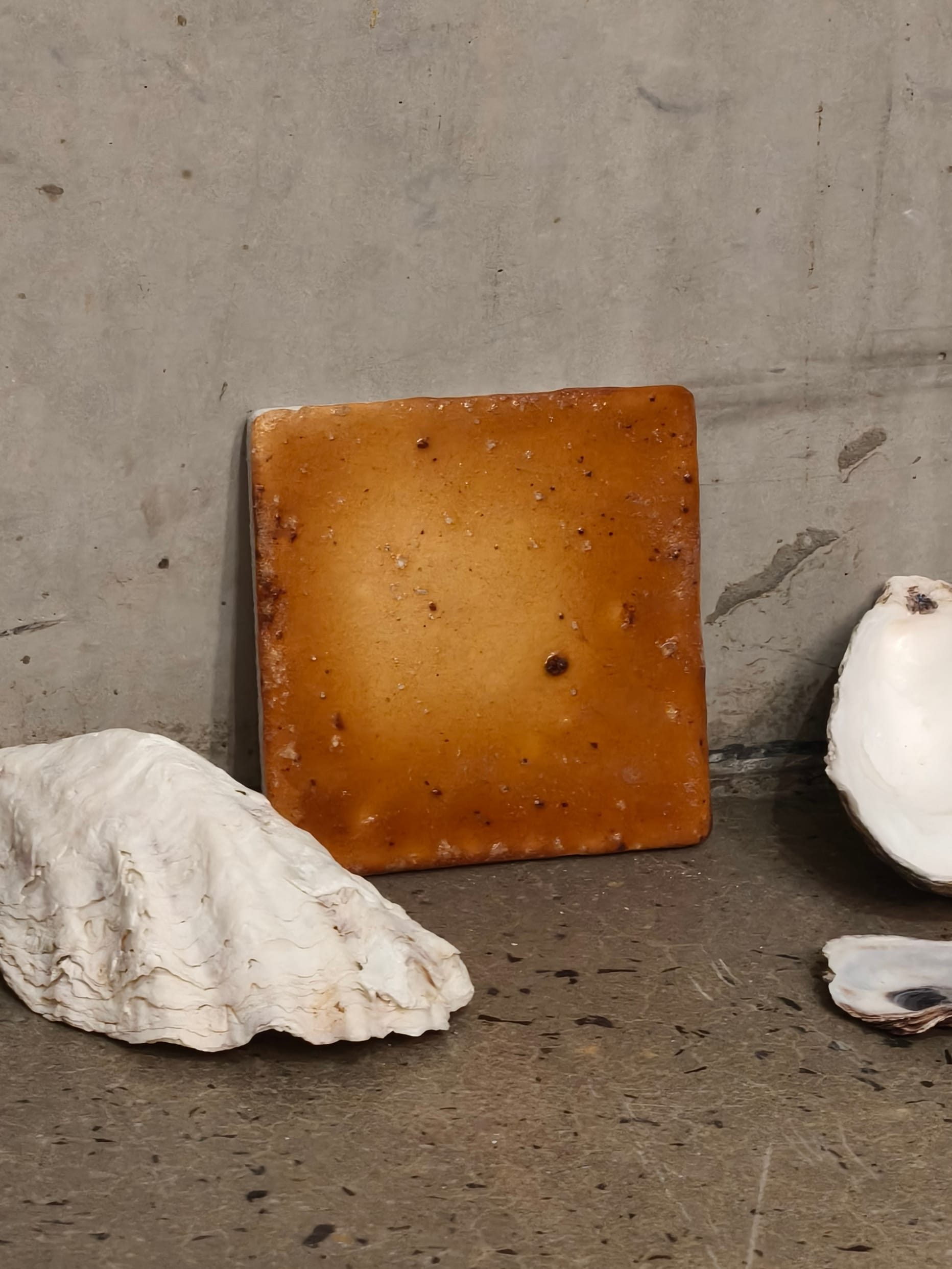 Oyster base bio ceramic tile with orange hues.