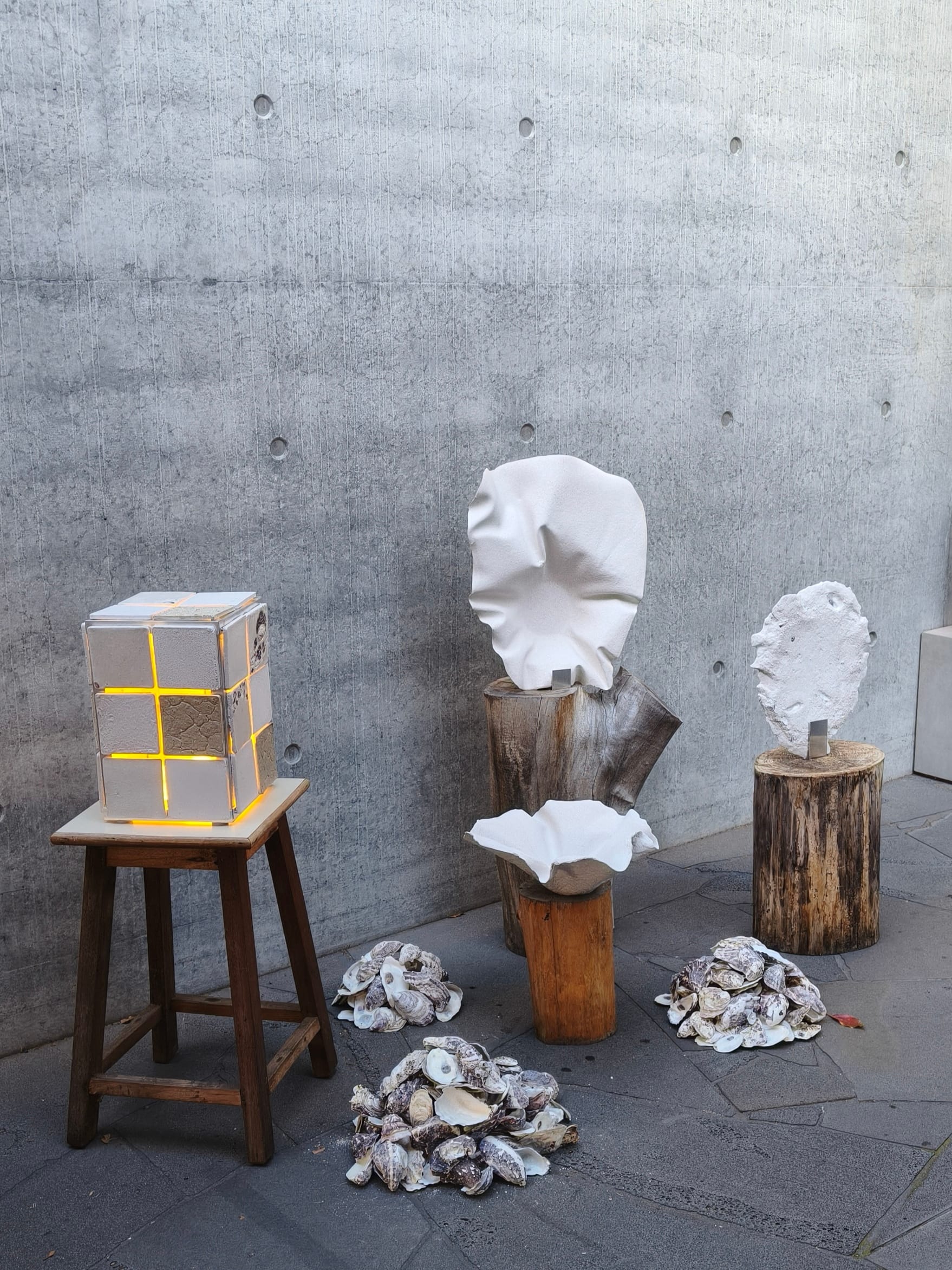 Oyster objects exhibited during Melbourne Design Week in MPavilion.