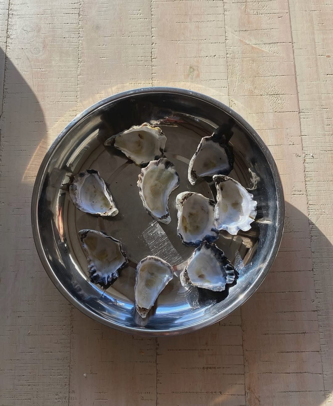 Oyster shells in stainless steel metal bowl.