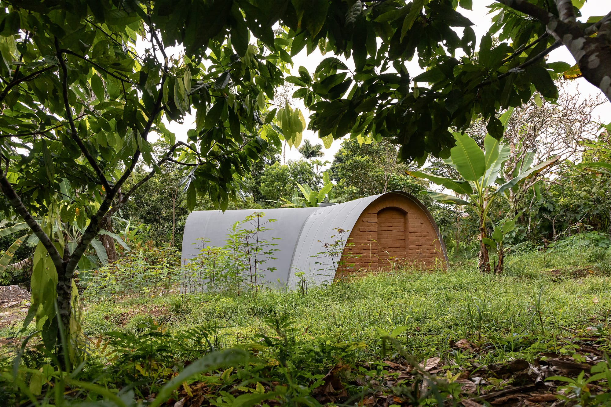 Small earth house constructed laboratory surrounded by jungle.