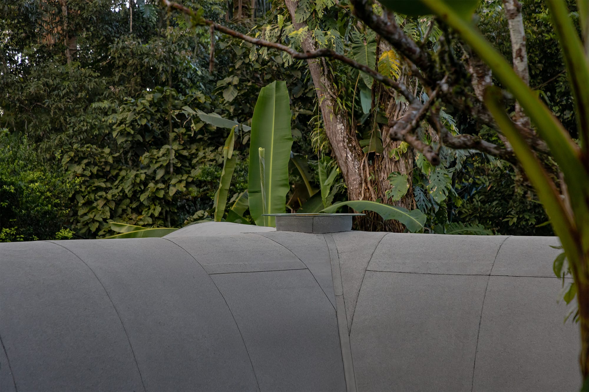 Three sided roof earth house construction surrounded by jungle.