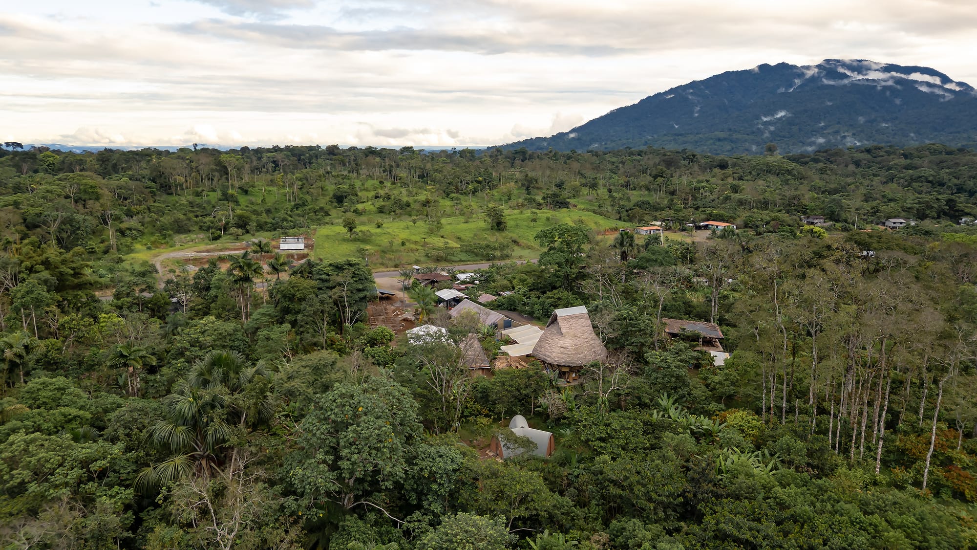 An indigenous, lush green, jungle village close to mountains.