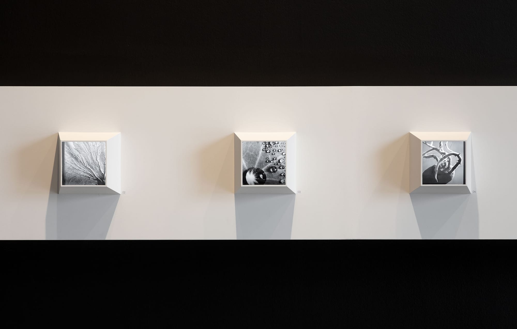 Exhibition design boxes showcasing photographs.