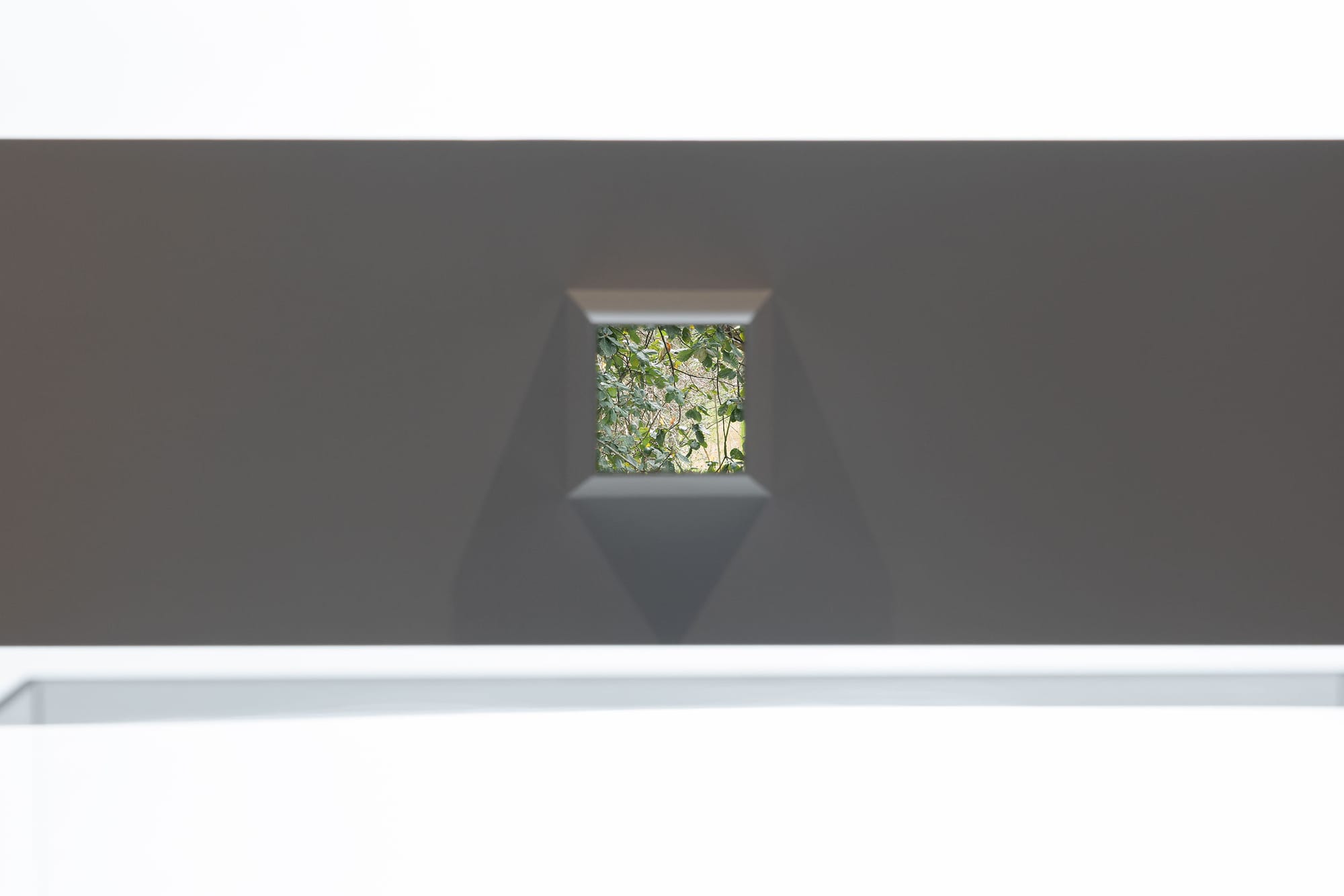 Exhibition design box with view to surrounding nature.