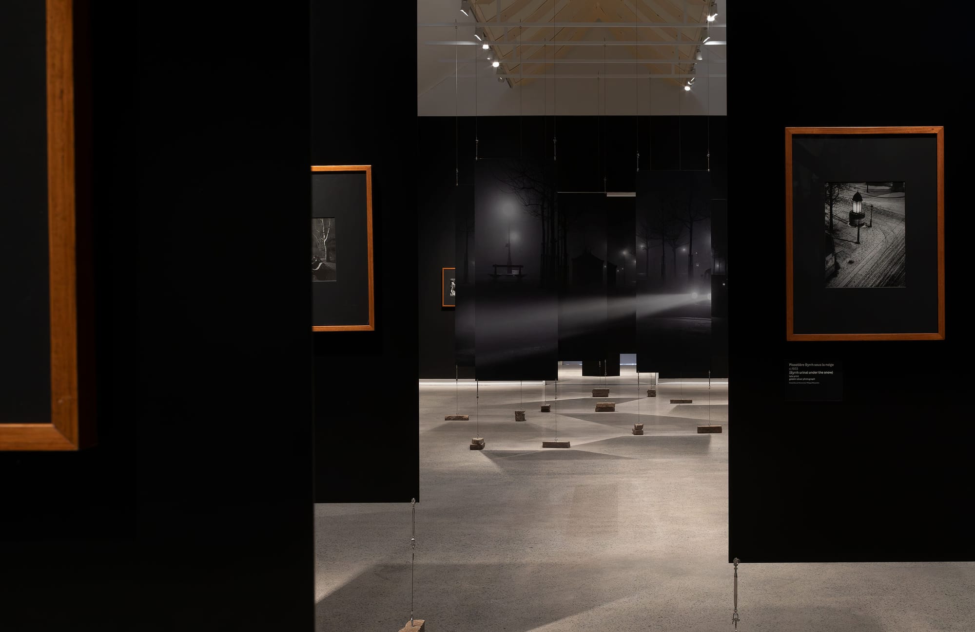 Black gallery space showcasing photography and enlarged sectioned canvas in center.
