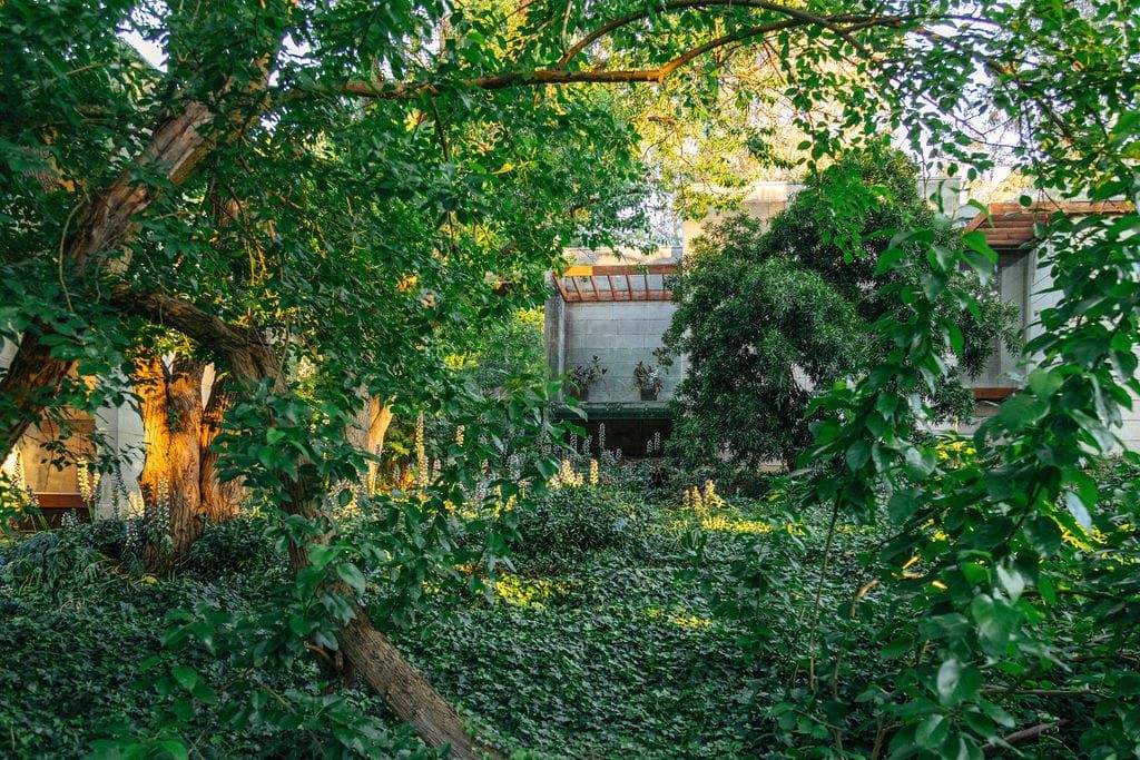 Heide Modern. Photography by Clytie Meredith. Lush green park with Australian modern architecture made from local limestone bricks.