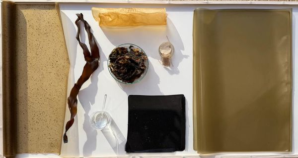 Seaweed mixture process and fabricated, translucent algae sheets.