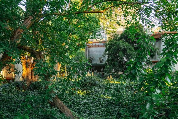 Heide Modern. Photography by Clytie Meredith. Lush green park with Australian modern architecture made from local limestone bricks.