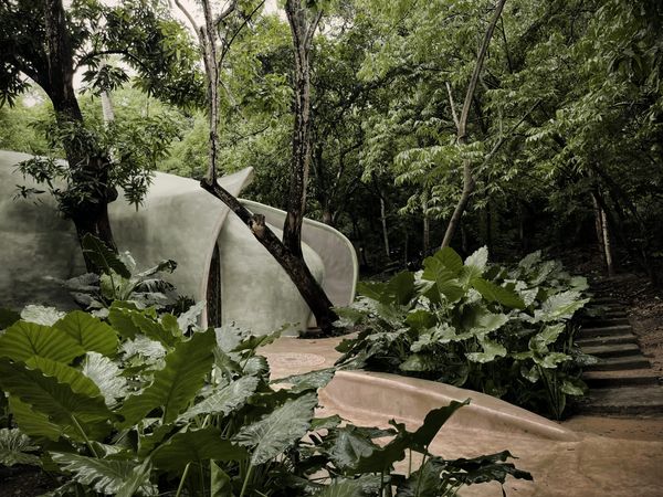 Organic architectural healing center surrounded by lush jungle and greenery.