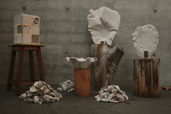 Oyster discarded material experimentation objects and tiles.