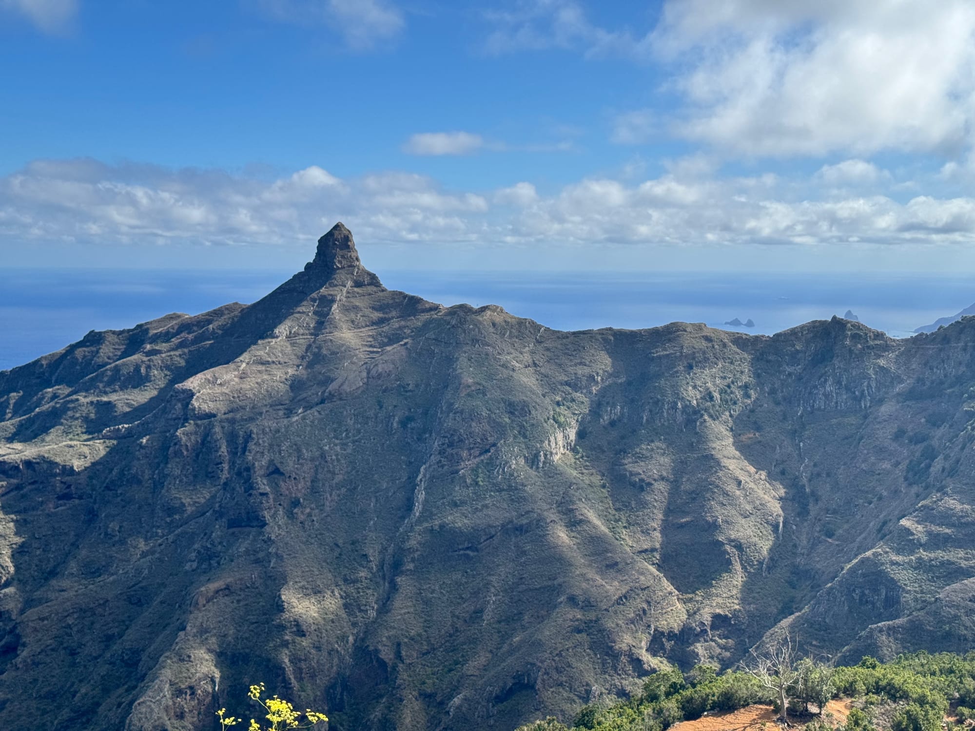 Tenerife Reunions 2025