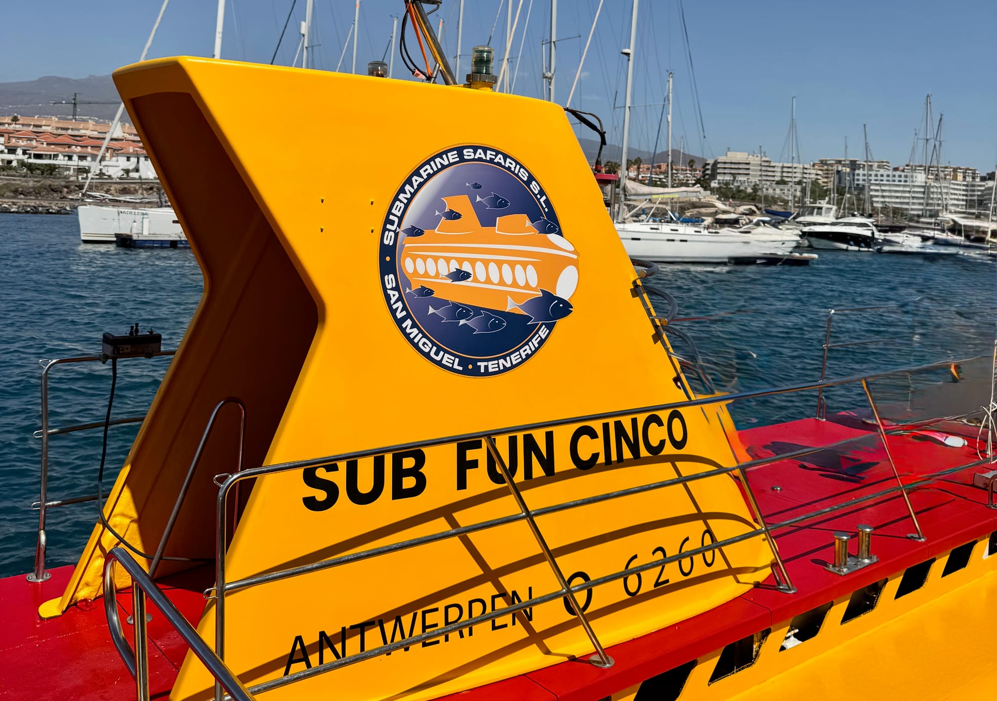 Yellow Submarine in Tenerife: Face-to-Face with Fish 2025