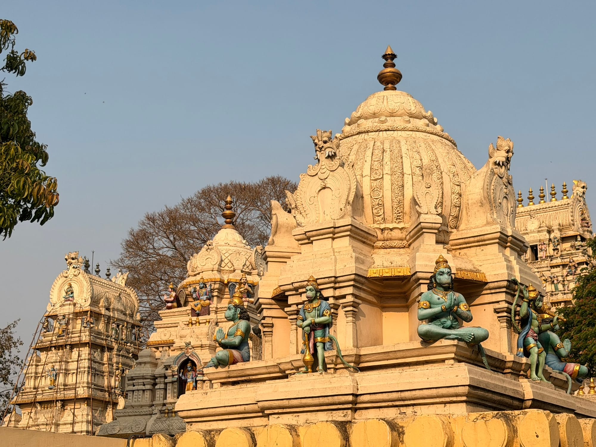 India Travel Impressions 2026