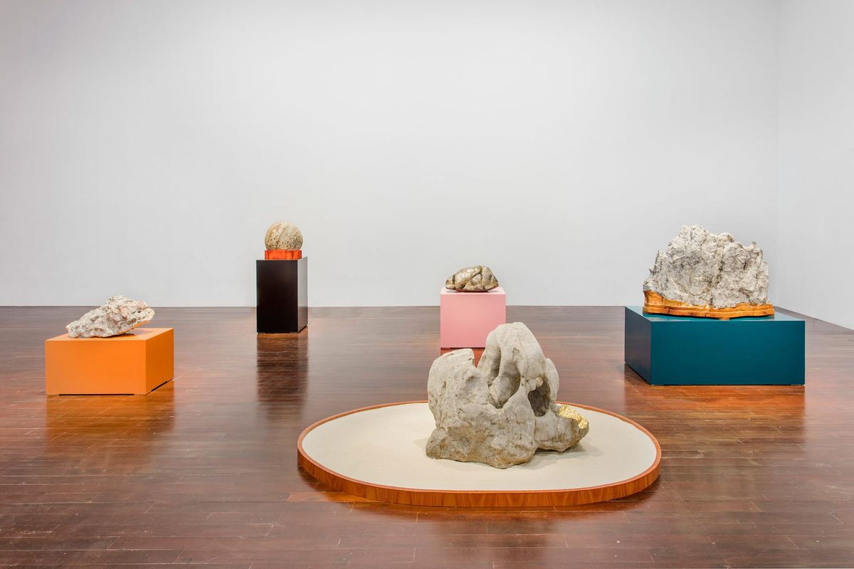 The Musical Eye: Su-Mei Tse