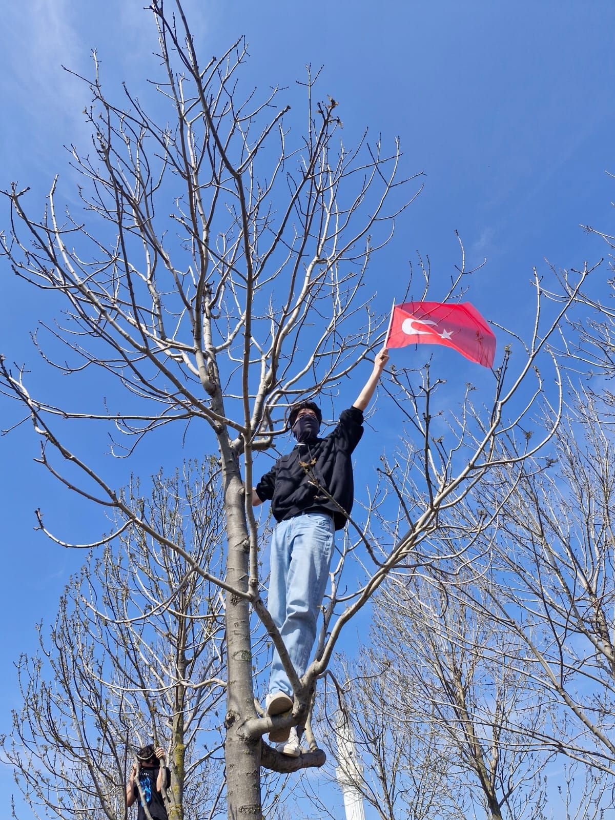 The Point: Artists Under Arrest