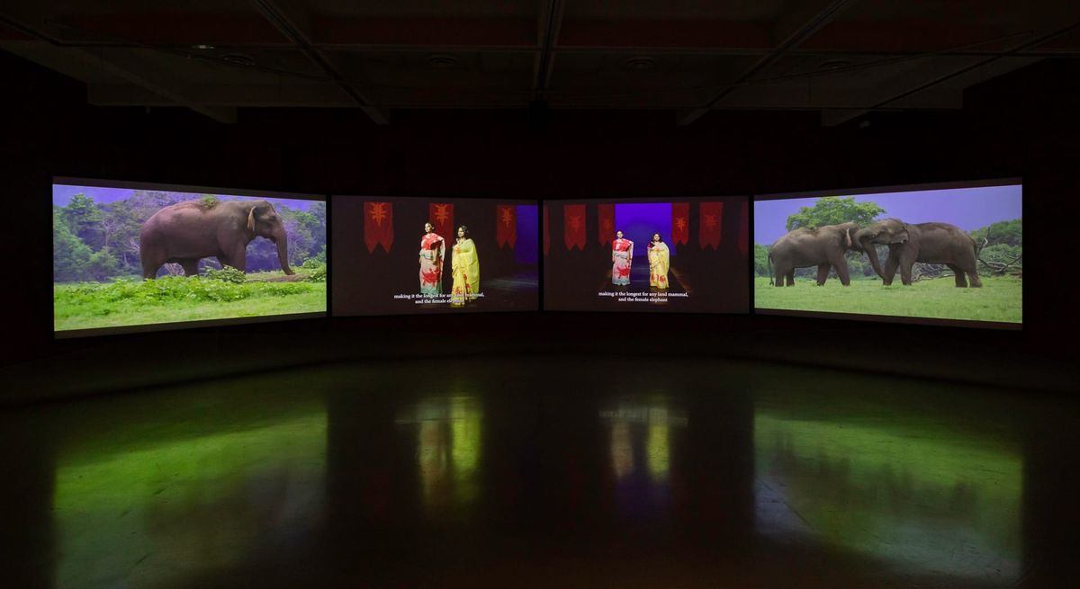 “in every room” at Campbelltown Arts Centre
