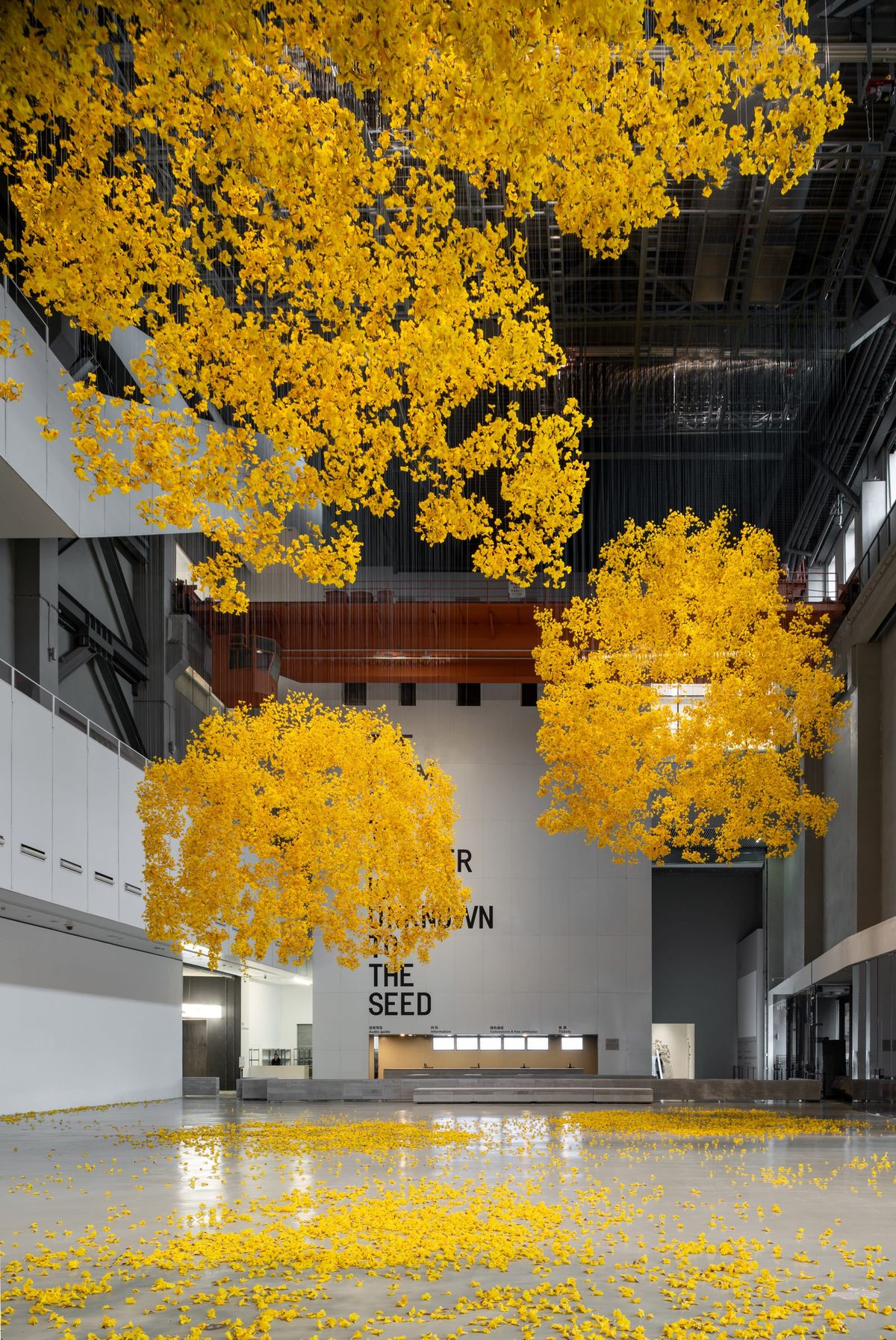 Festivals of 2025: Shanghai Biennale