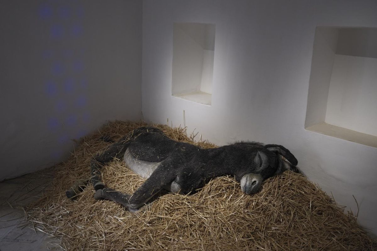 New Currents: Majid Al-Remaihi