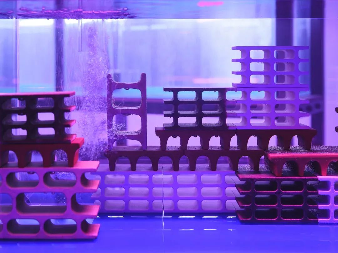 The House of the Heart: Trevor Yeung, Vessel Poetics, and Failure as Transformation