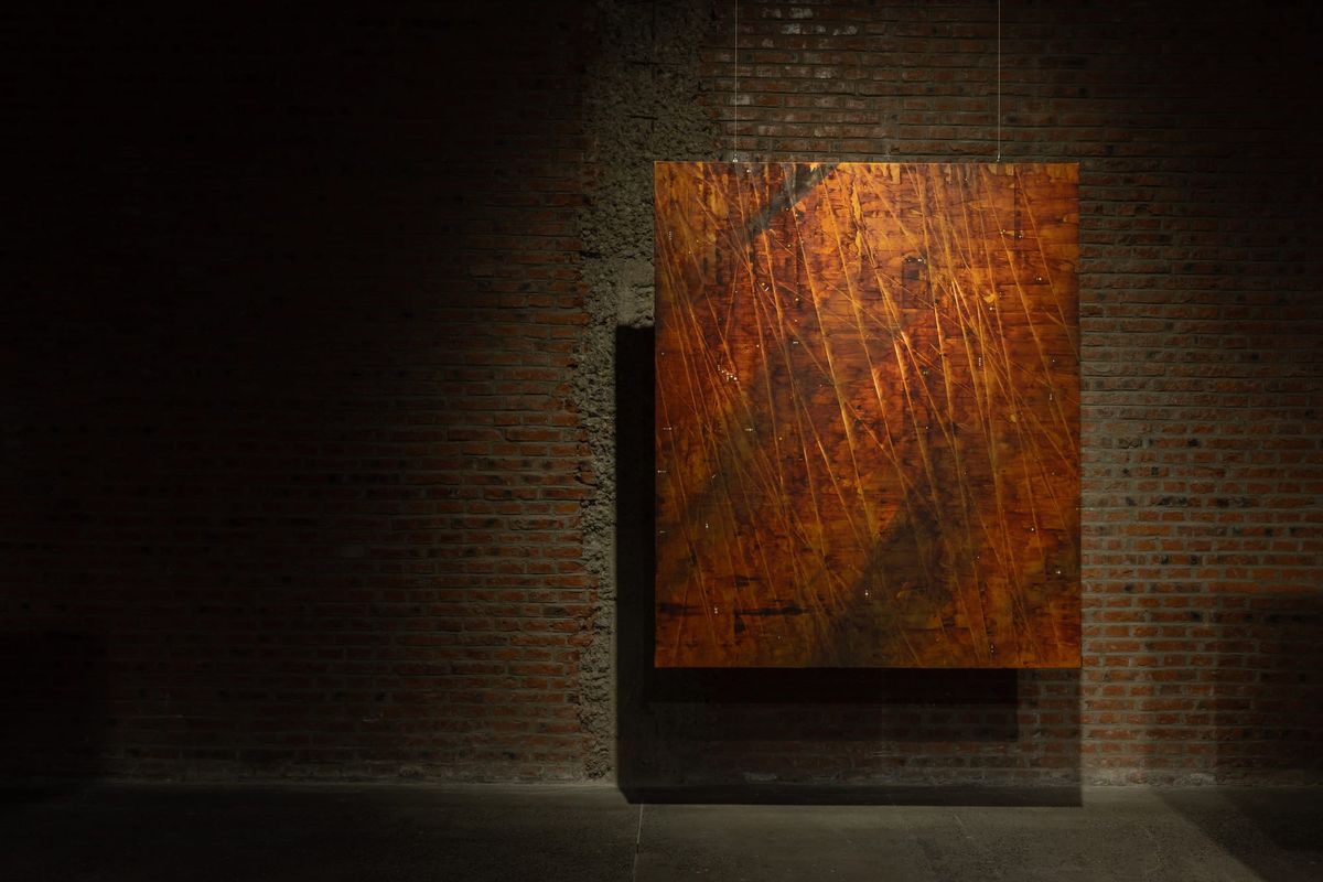 Up Close: Liang Yuanwei