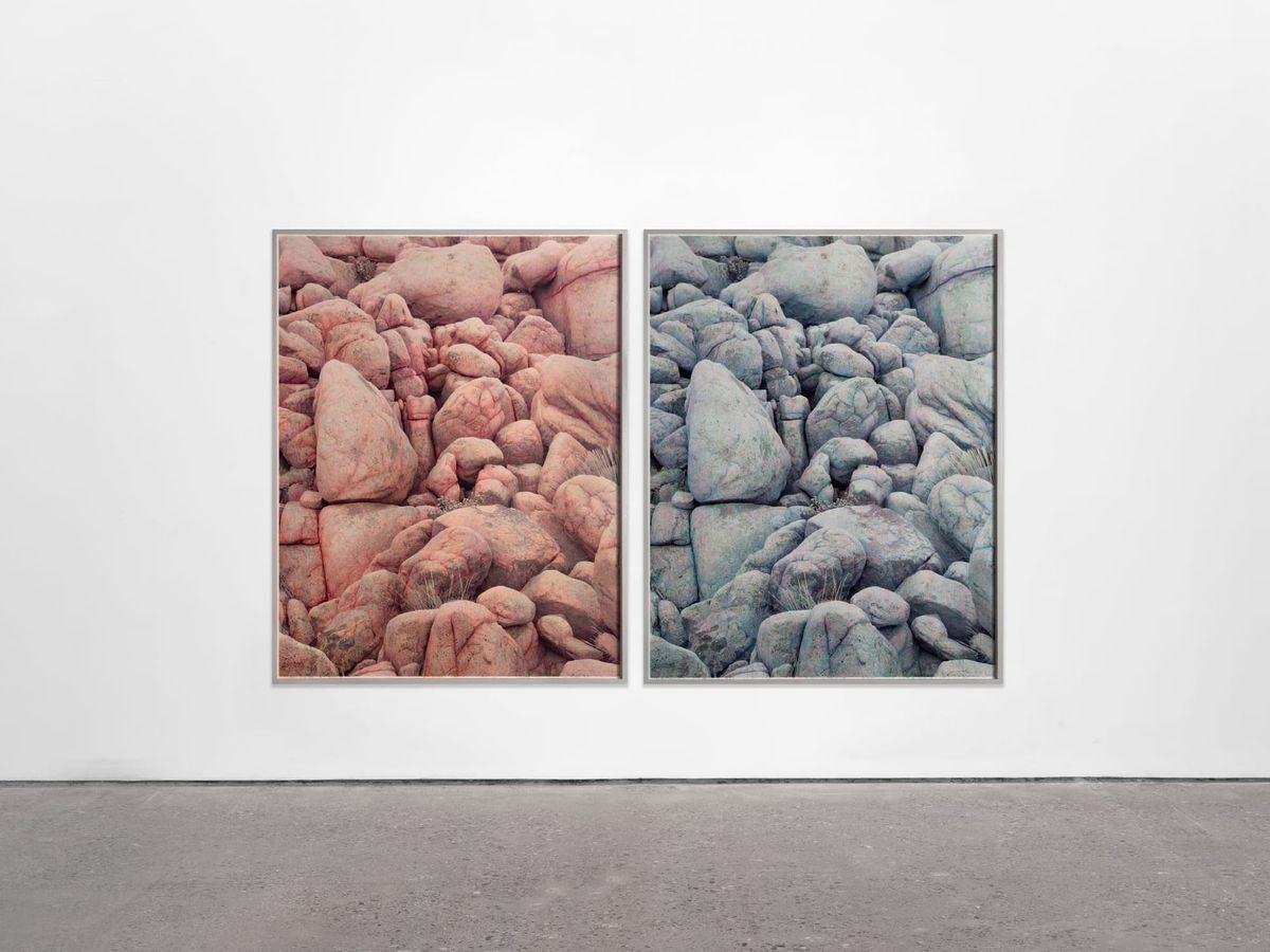 Shi Guowei’s Authentic Illusions