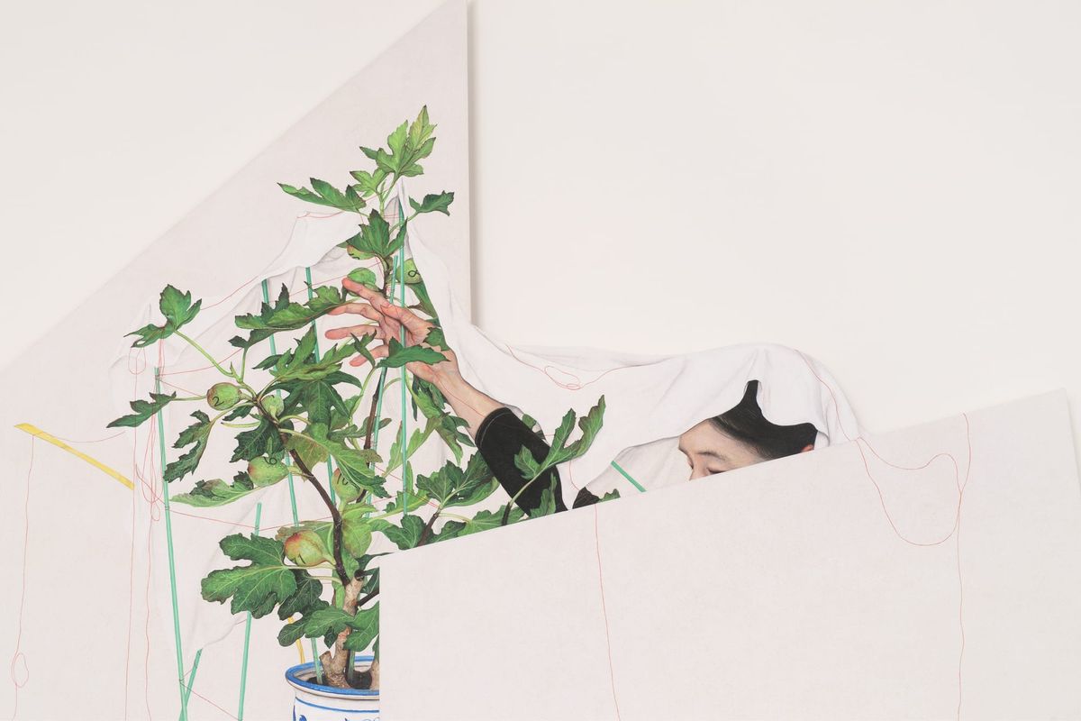 Jinju Lee: Fear in a Handful of Dust