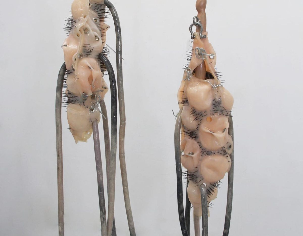 New Currents: Wang Yuyu