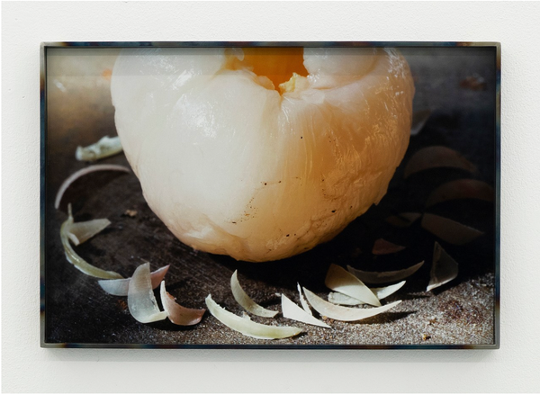 “To Save and to Destroy” at BANK NYC