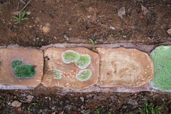 Pure Intention, Muddy Ground: Singapore Biennale 2025