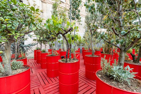 Istanbul: Resurgent Intelligentsia