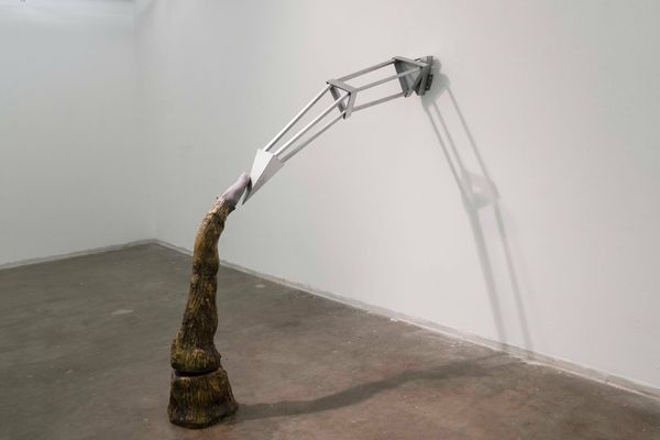 New Currents: Shuo Phoebe Li