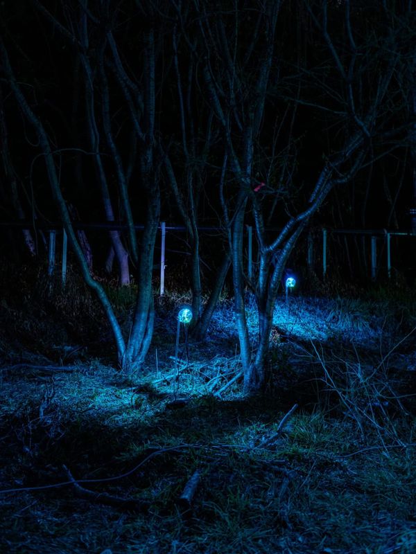 Tales of the Unexpected: Artists, Technology, and Emotional Intelligence